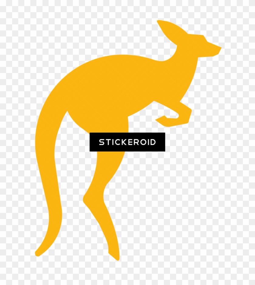 Kangaroo - Kangaroo #1347006