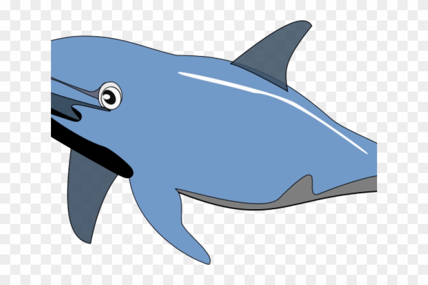 Dolphin Clip Art #1348367