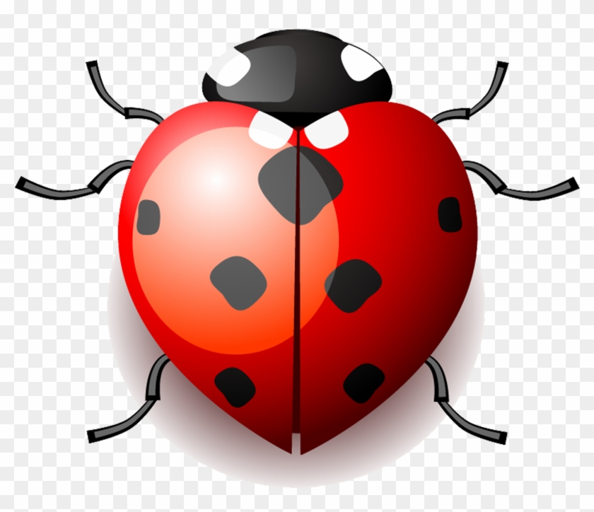 Clip Art Black And White Library Apron Drawing Ladybug - Clip Art Black And White Library Apron Drawing Ladybug #1348594