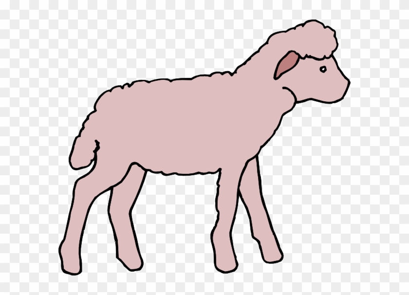 Portable Network Graphics Clipart Sheep Clip Art - Cordeiro Desenho Png #1349216