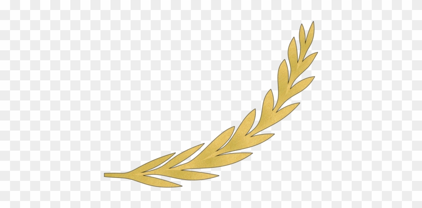 Olive Branch Computer Icons Laurel Wreath Blog - Golden Olive Branch Vector #1349490