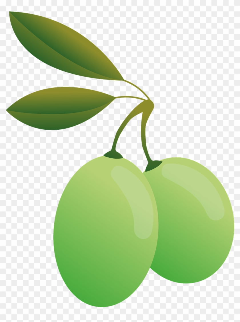 Olives,green,oil,olive Plants,food,green Olives,leaves, - Olive #1349500