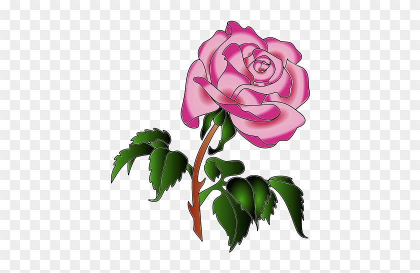 Rose #1349670