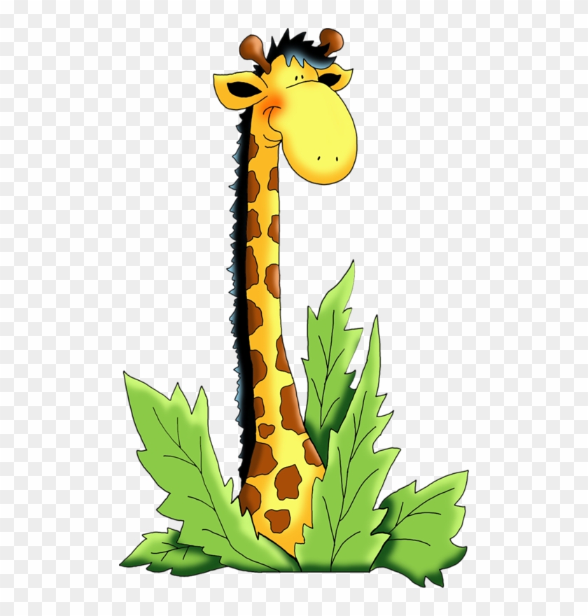 Яндекс - Фотки - Giraffe #1349828