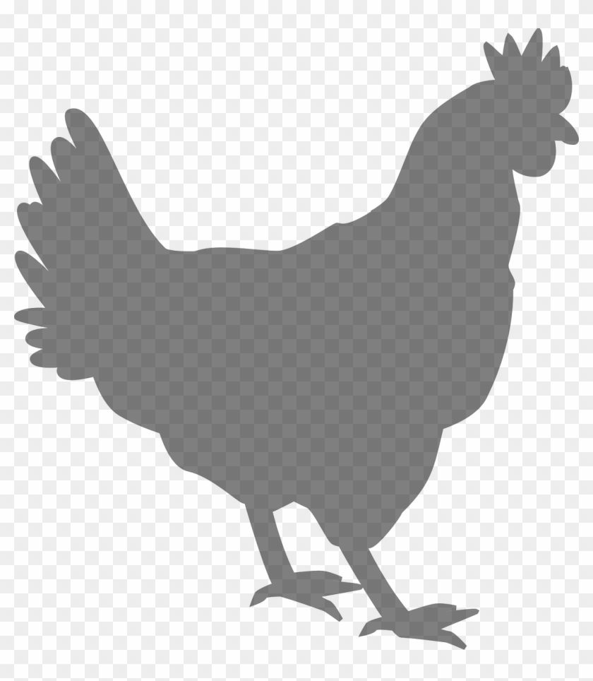 Chicken Clipart Silhouette #1351050