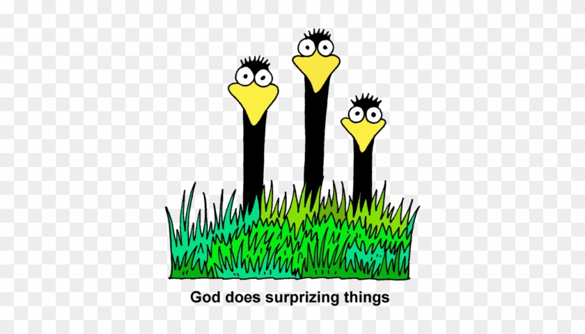 Surprising Things - God #1352156
