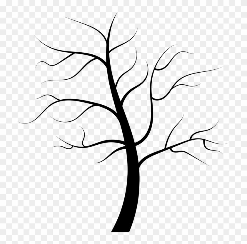 All Photo Png Clipart - Clip Art #1353154