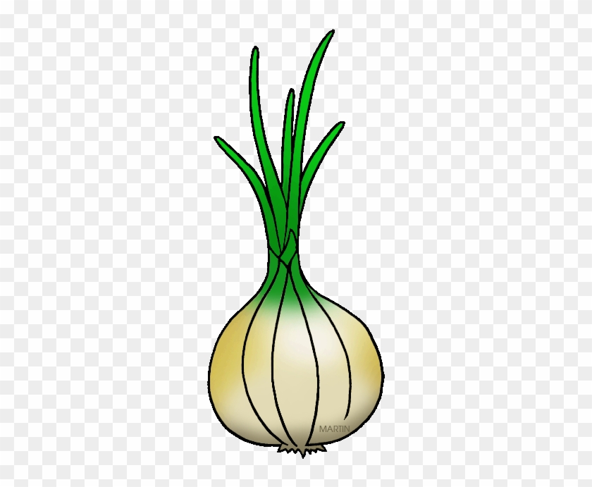 Georgia State Vegetable - Clip Art #1354017