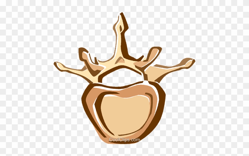Human Bones Royalty Free Vector Clip Art Illustration - Human Bones Royalty Free Vector Clip Art Illustration #1354604