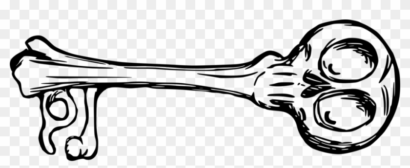 Human Skeleton Bone Skeleton Key Skull - Bone Key #1354607