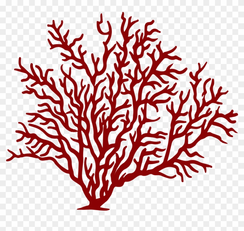 Coral Clipart Soft Coral - Coral Clipart Soft Coral #1354995