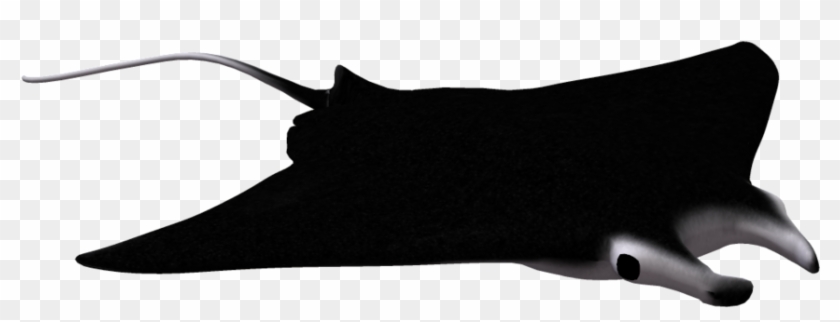 Download Manta Ray Clipart Free - Mantaray Png #1356030