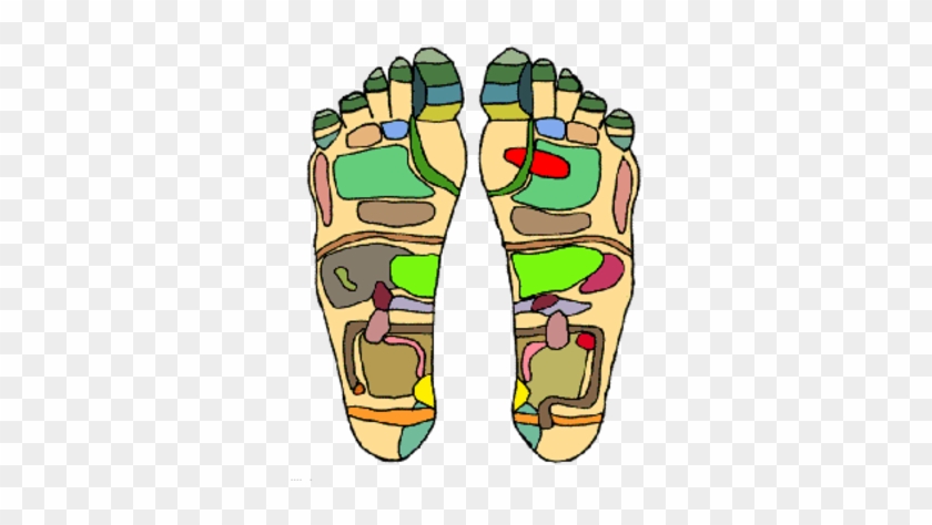 An Example Of A Reflexology Chart, Demonstrating The - Reflexology Pressure Points #1356437