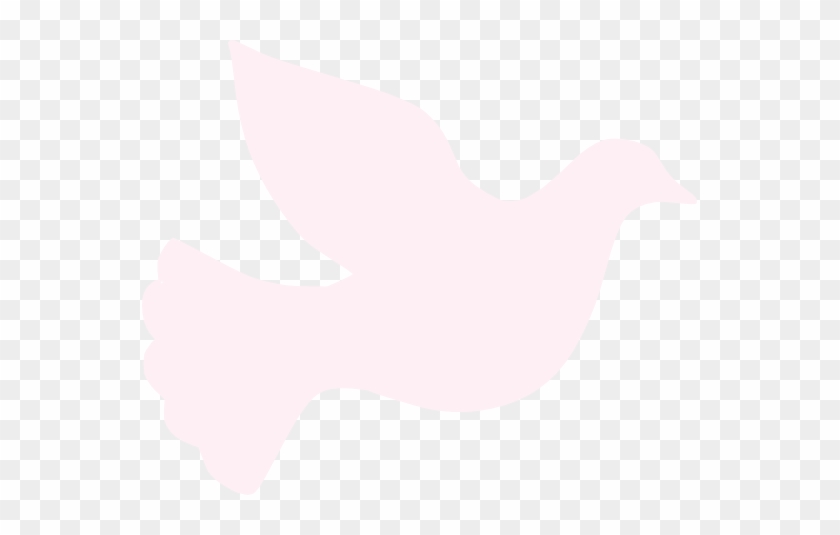 Peace Lavender Blush - Peace Lavender Blush #1356721