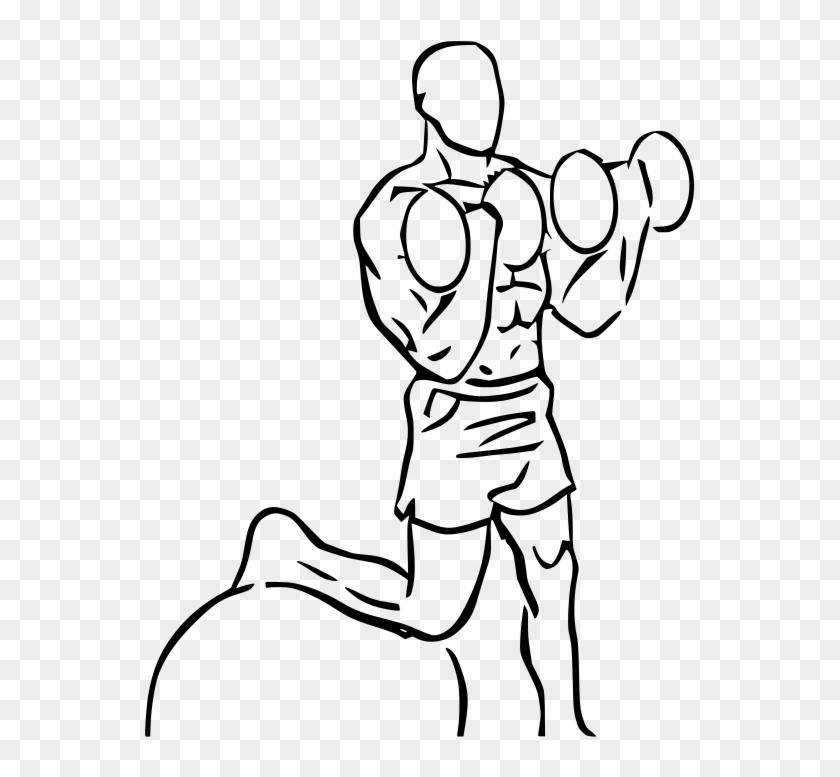 Clip Royalty Free Download File Curl On Stability - Biceps Curl Dumbbell #1357784