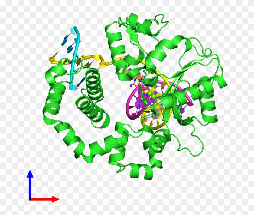 Pdb 5ugp Coloured By Chain And Viewed From The Front - Illustration #1358202