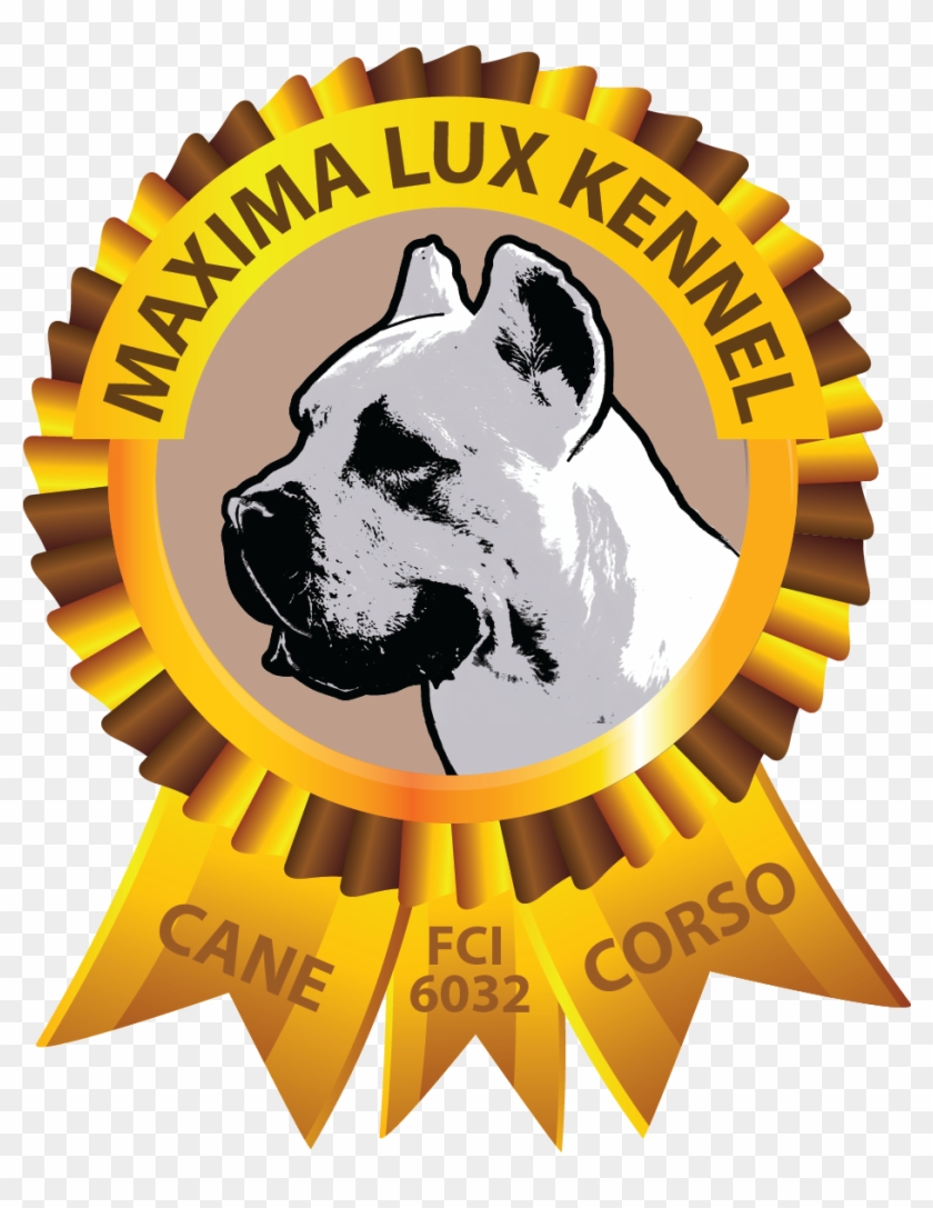 Cane Corso Europe - Cane Corso #1359613