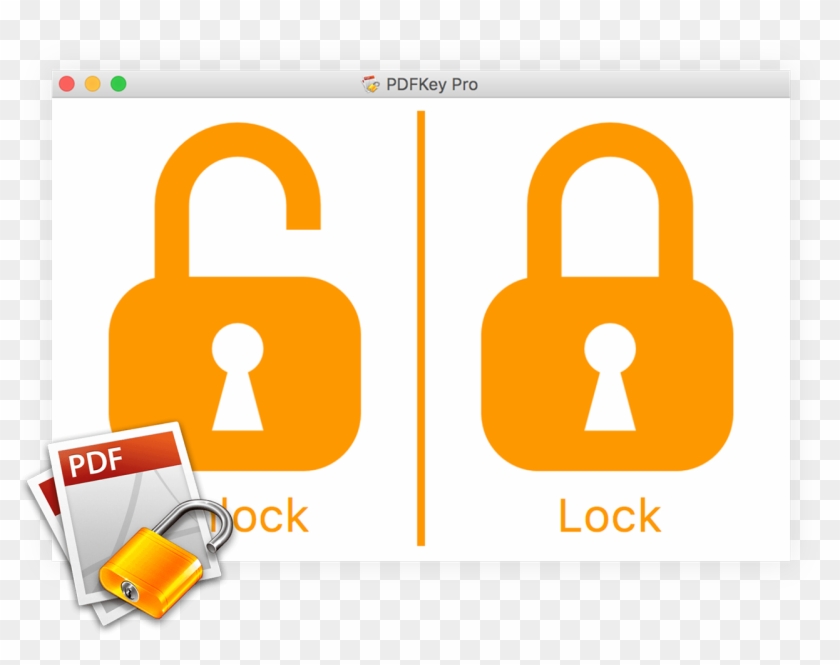 Bundle - Search Engine #1359866