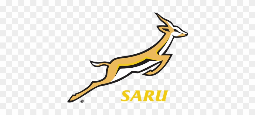 Top Provincial Sevens Players To Display Their Skills - South Africa Rugby Logo Png #1359975
