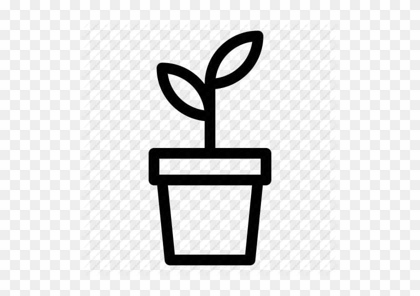Seed Icon - Simbolo Presente Png #1360890