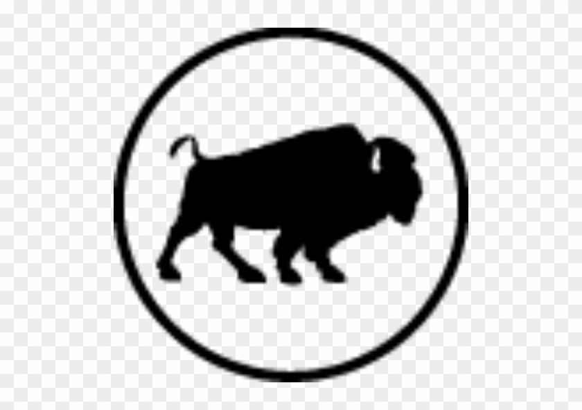 Domestic Pig #1361924