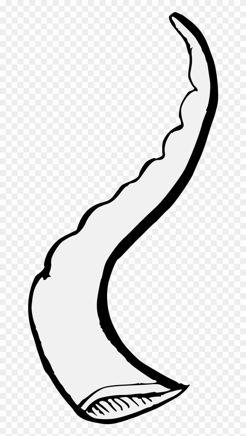 Svg Royalty Free Ram Horn Clipart - Line Art #1362057