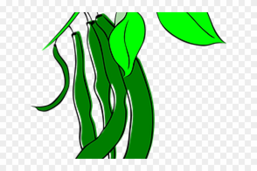 Pulse Clipart String Bean - String Beans Clip Art #1362530