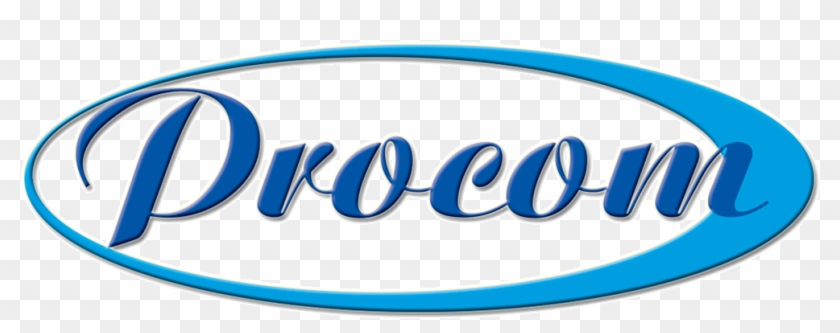 Procom Motocross Cdi Controller - Electrosport Industries Cdi/ecu Pe-c-ay90-a #1362669