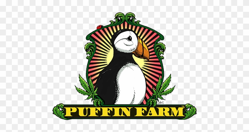 Farm #1362707
