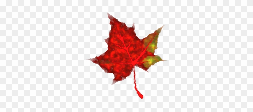 هذا السكرابز انزعي منه حقوق المنتدى الاخر حتى تصممي - Small Pics Of Leaves #211686