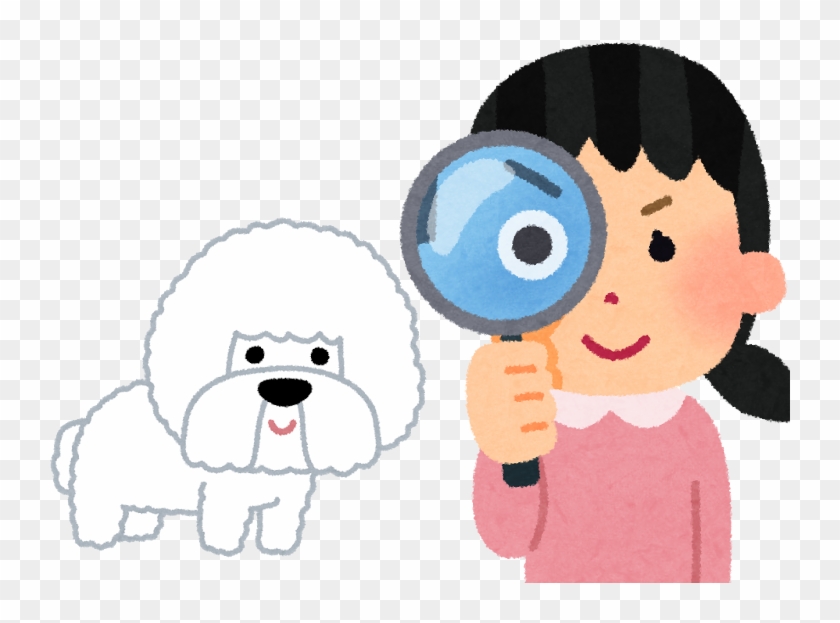 失敗しない！ ビションフリーゼの子犬の選び方 - 観察 看護 #1363086