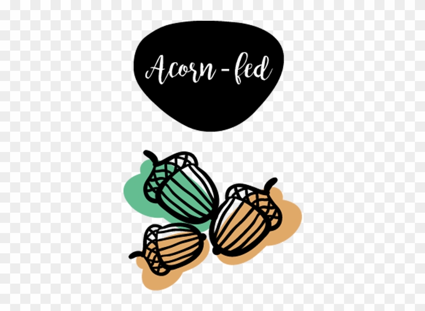 The Animal Feeds On Acorns And Other Natural Resources - Au Pair Life Women's Tees #1364586