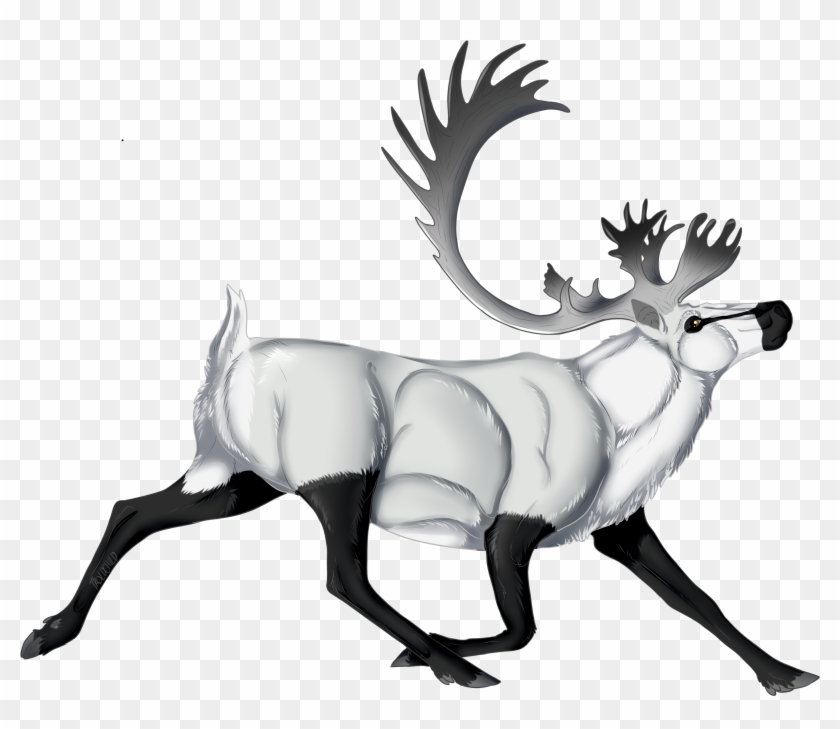 Alaska - Alaska #1365340