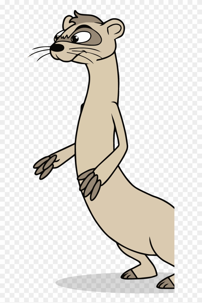 Ferret - Ferret #1365954