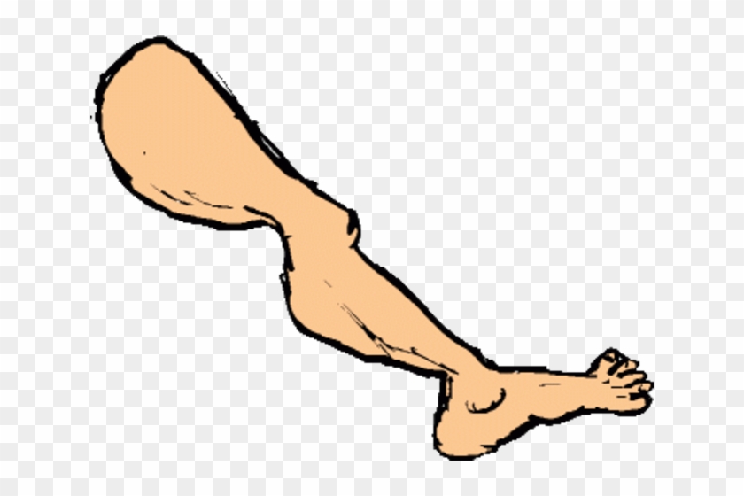 Legs Clipart Arm Leg - Leg Clipart Transparent Background #1366080