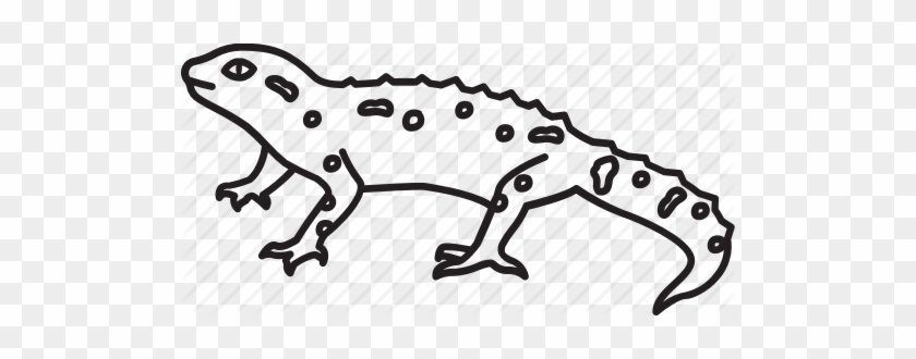 Gecko Clipart Gekko - Gecko #1366212