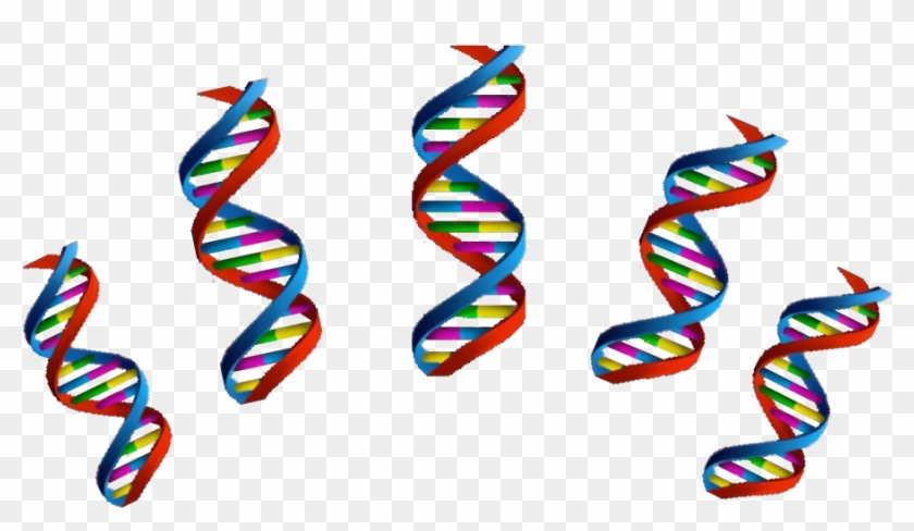 Next Week, Our Phd Students, Alexandra Gaál Kovalčíková - Dna #1366361