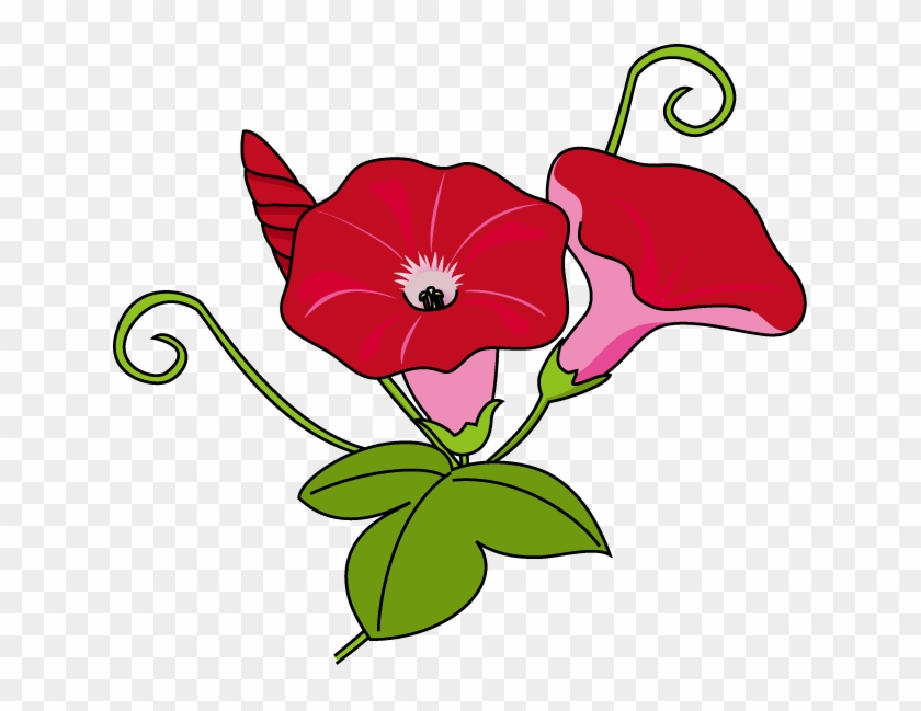 Flower - Flower #1366901
