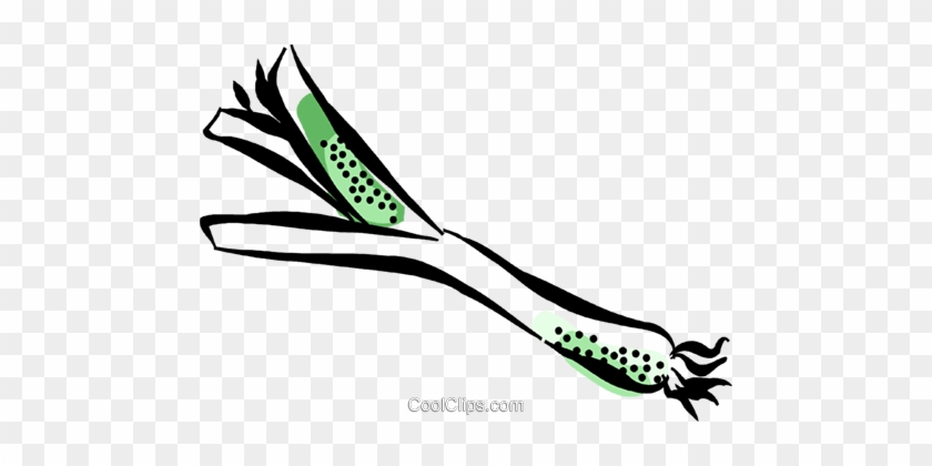 Okra Royalty Free Vector Clip Art Illustration - Okra Royalty Free Vector Clip Art Illustration #1368590