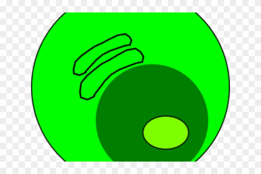Plasma Clipart Nucleolus - Fleurop #1368626