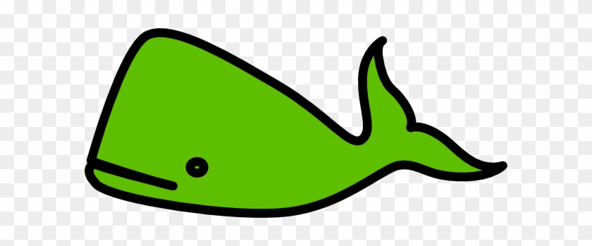 Whale - Whale #1369711