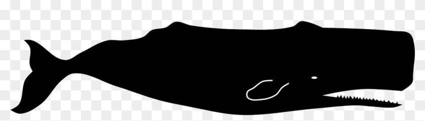 Sperm Whale Clipart Giant - Sperm Whale Silhouette #1370410