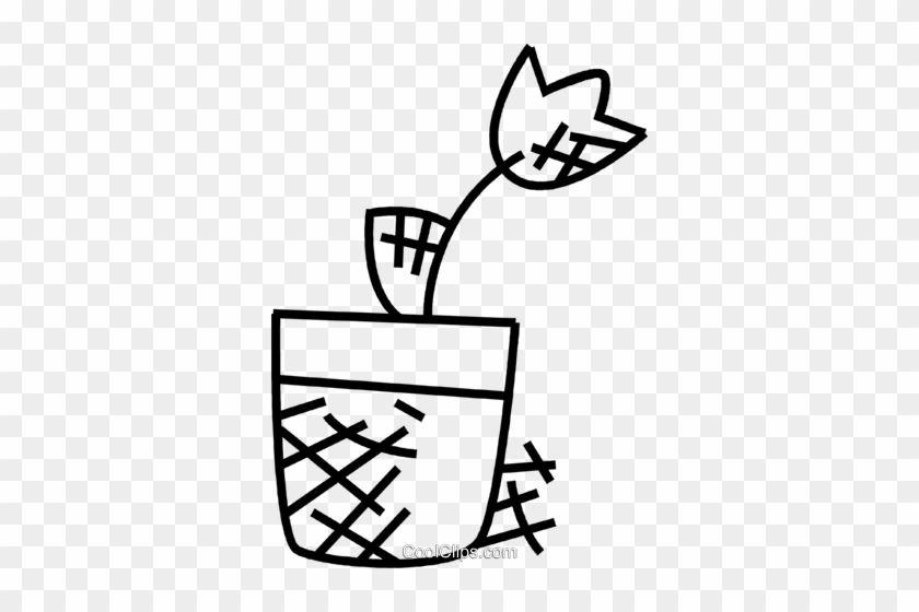 Potted Plants And Flowers Royalty Free Vector Clip - Illustration #1373106