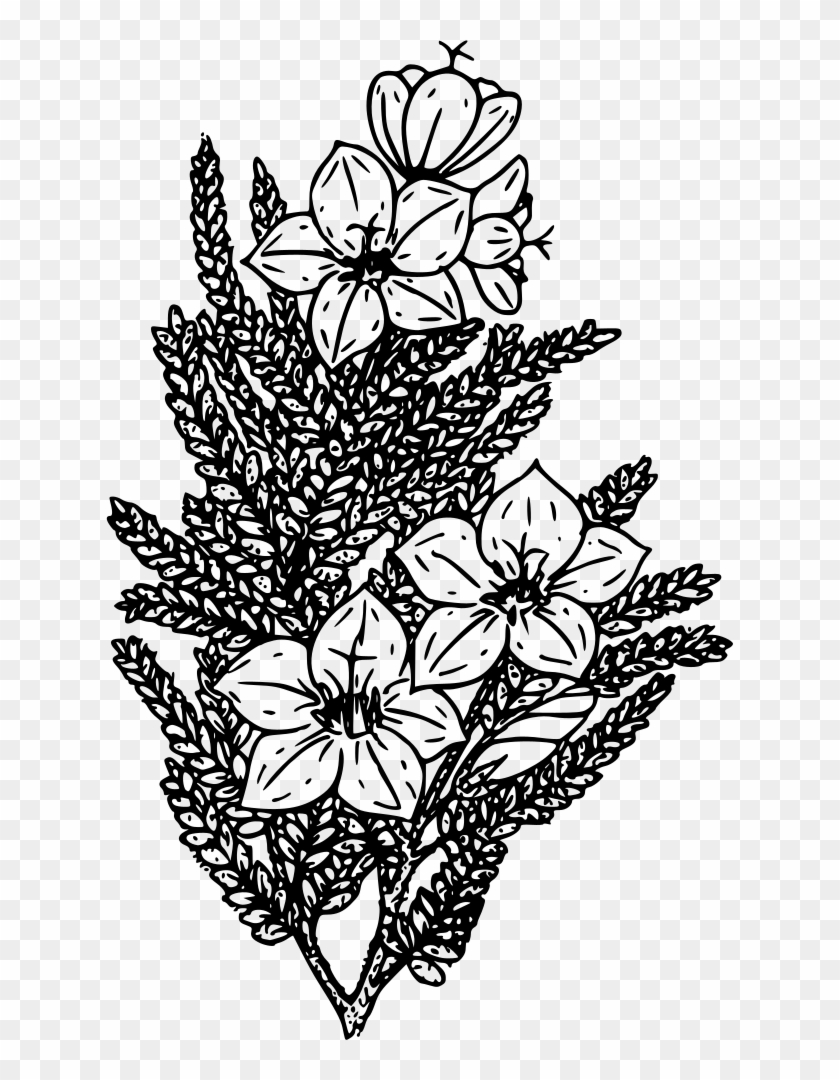 Wildflower Coloring Book Black And White - Best Gift - Alpine Skunk Bush Mens Premium Hoodie/t-shirt/mug #1373582