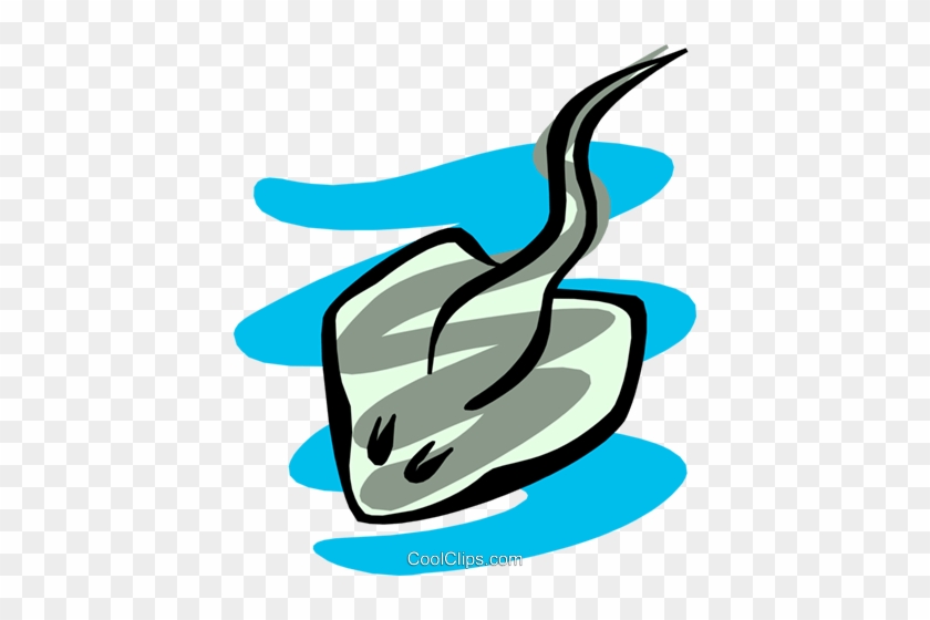 Stingray Royalty Free Vector Clip Art Illustration - Stingray Royalty Free Vector Clip Art Illustration #1374698