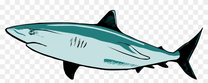 Download - - Great White Shark Shark Vector #1374915