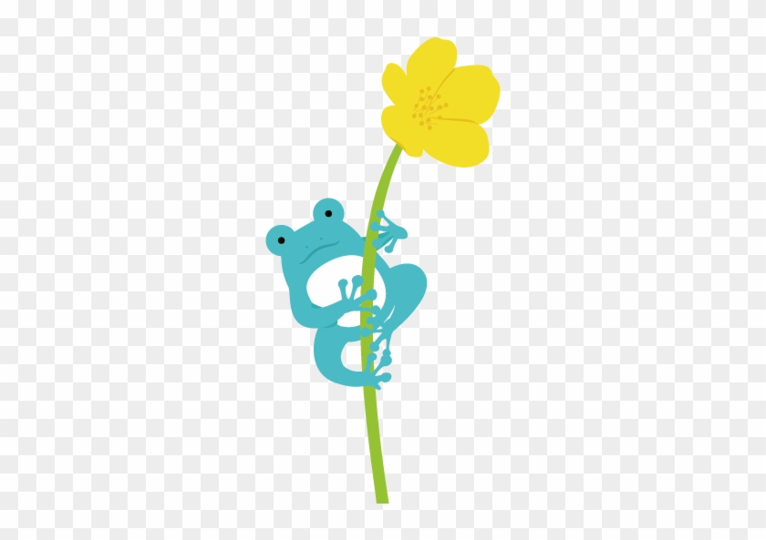 Album - Flower #1375522