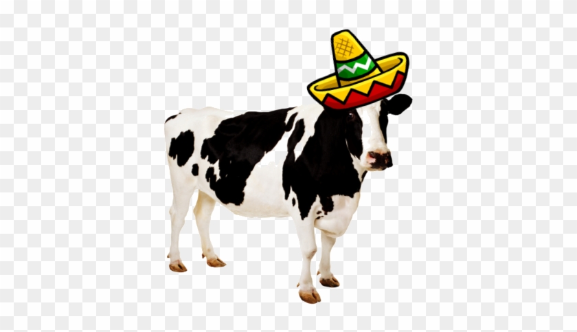 Cinco De Mayo "beefsteak Fiesta" - Farm Animals: Photographic [book] #1376054