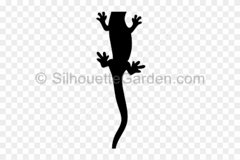 Gray Treefrog #1376130