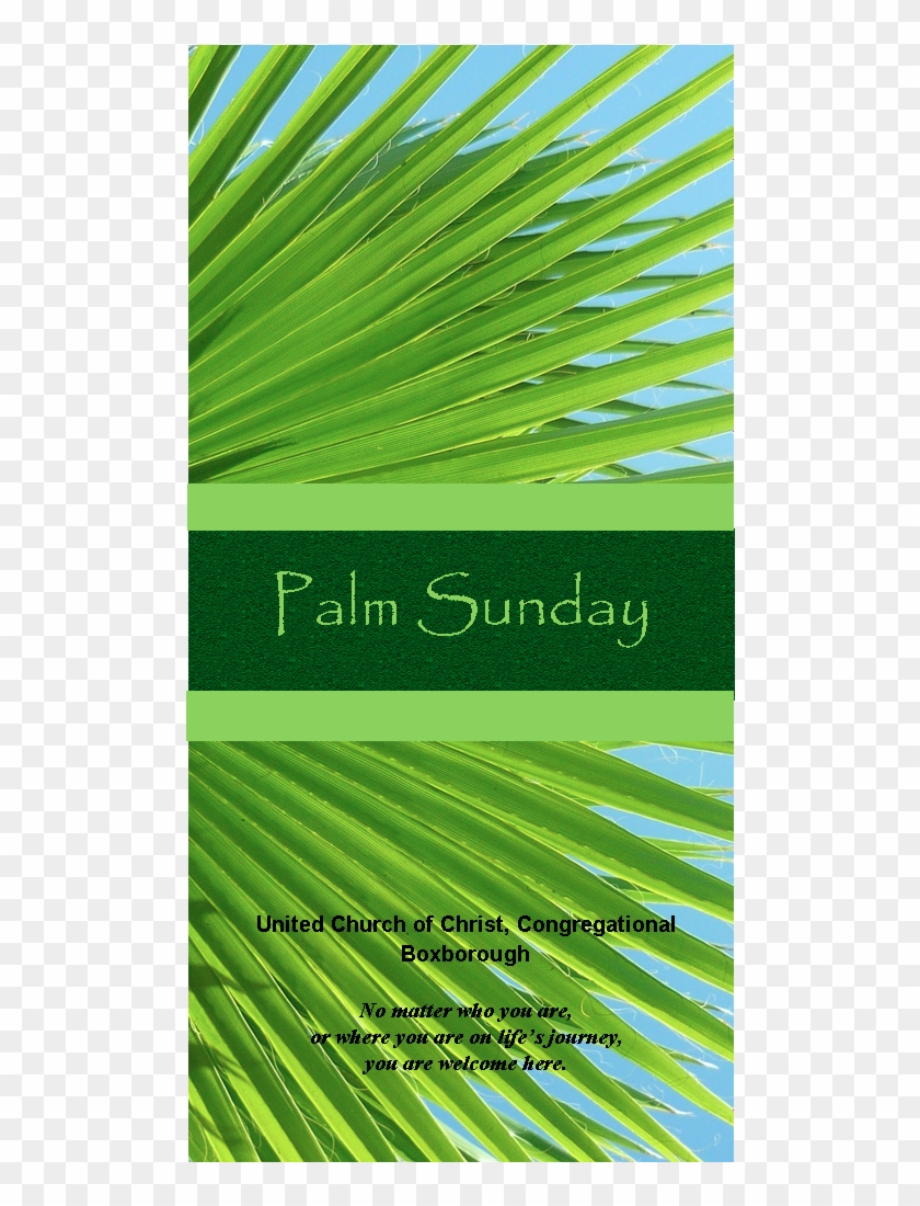 Worship - Worship #1377362